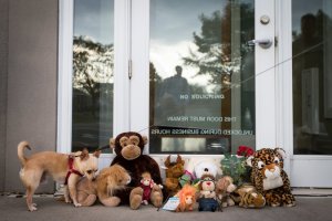 30lion-web-master675